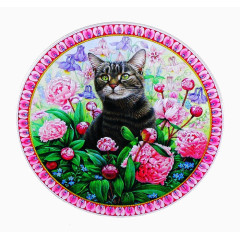 猫创意视觉设计