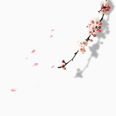 梅花  冬季节日