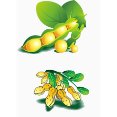 黄豆和花生