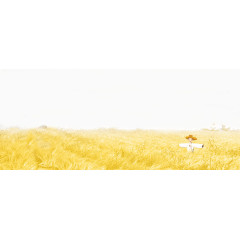 金黄色稻草背景