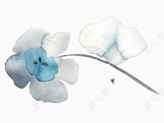 墨色五瓣花