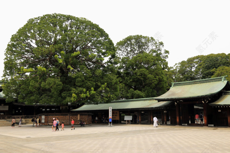 明治神宫素材图片
