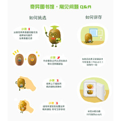 猕猴桃水果介绍
