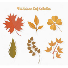 秋天落叶矢量素材
