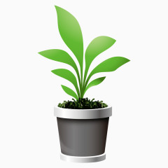 黑色花盆绿色植物