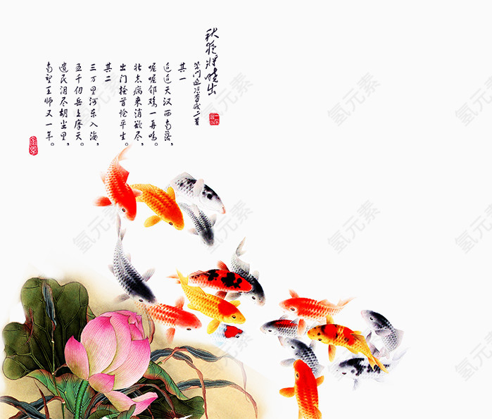 锦鲤
