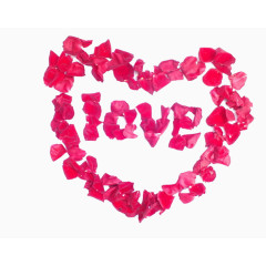 花瓣LOVE图片素材