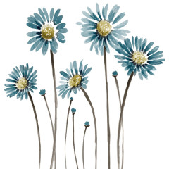 蓝色小雏菊手绘