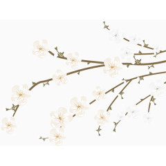 矢量白色花朵和树枝