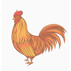 矢量一只鸡
