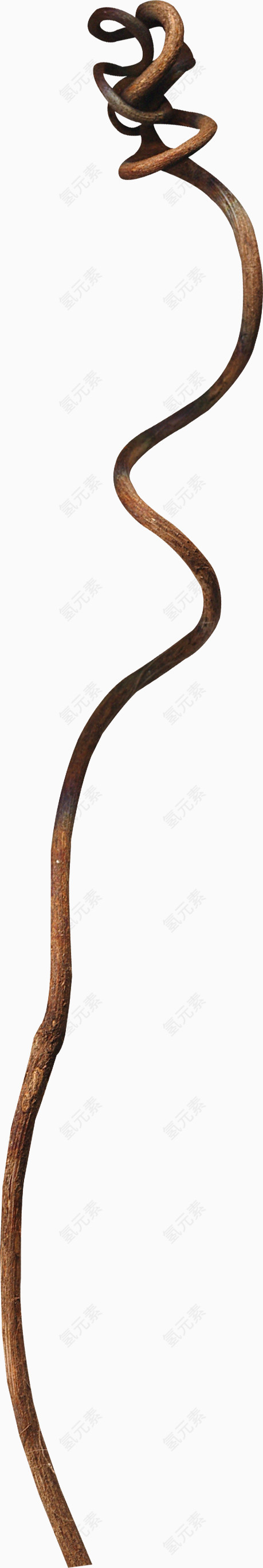 棕色缠绕枯枝
