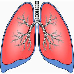 禁烟日公益广告肺部与香烟