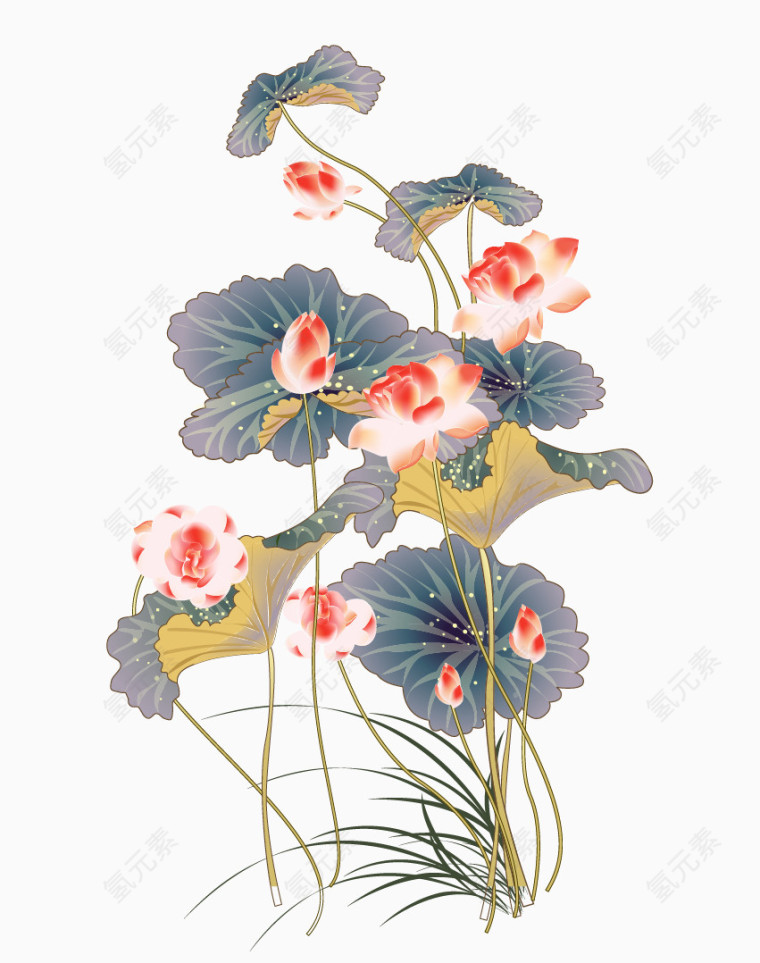 中国风淡雅盛开的荷花图片下载 荷花 中国风 水彩 莲花