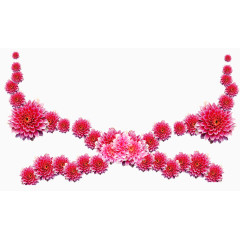 粉色芍药花素材