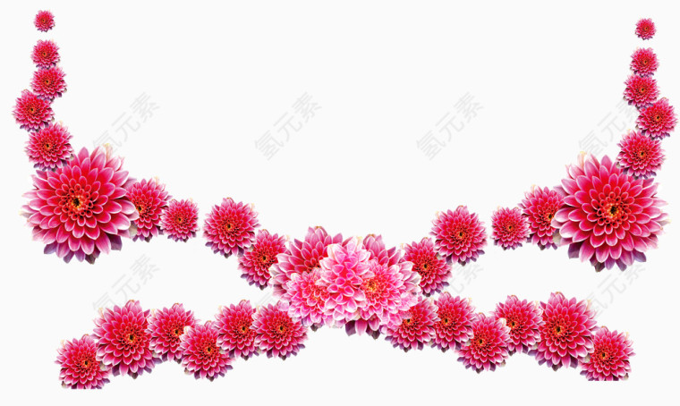 粉色芍药花素材