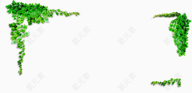 藤蔓边框