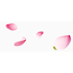 漂浮粉色花瓣