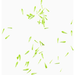 漂浮绿叶免抠素材