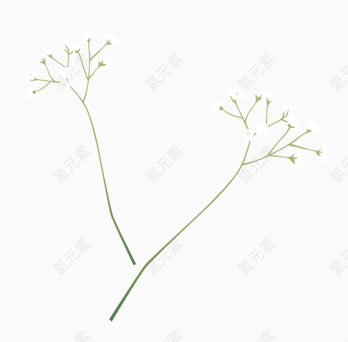 白色满天星小花