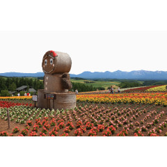 美瑛四季彩之丘景点