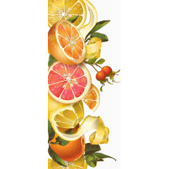 复古橙子柠檬蜂蜜矢量背景