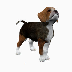 狗