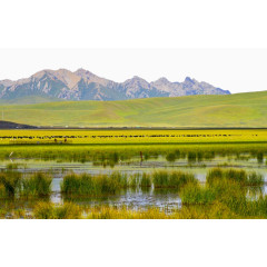 甘南迭部花湖美景