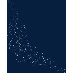 白色雪花状杂点