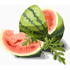 新鲜西瓜矢量