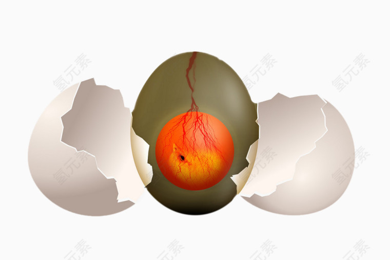 创意鸡蛋变小鸡过程