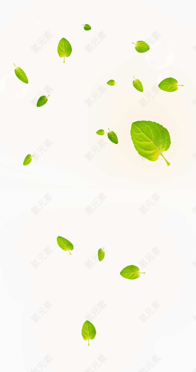 飘散的树叶