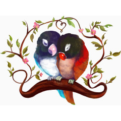 矢量手绘依偎的牡丹鹦鹉