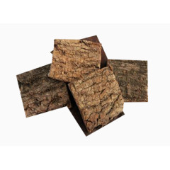 杜仲中药材图片