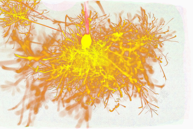 免抠素材烟花图片