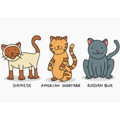 手绘可爱猫咪动物矢量图