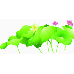 手绘绿叶粉色黄色荷花