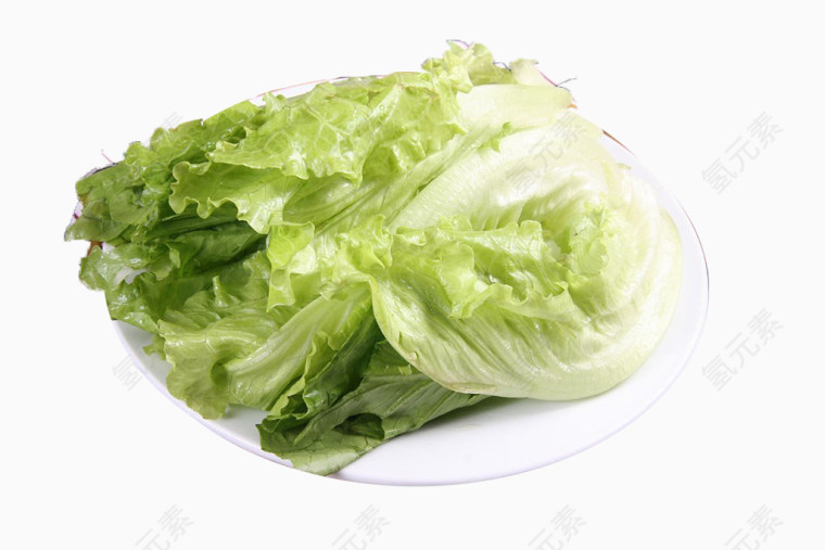 绿色生菜包饭菜