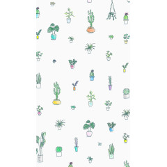 仙人掌背景底纹