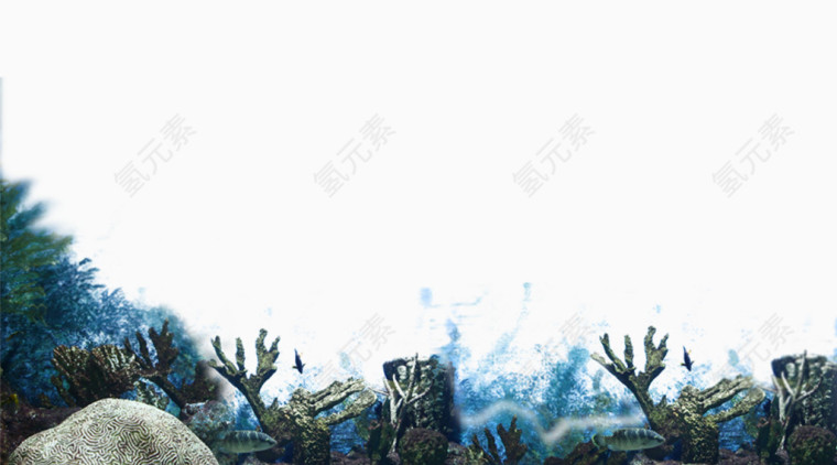 海底珊瑚