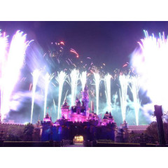 烟花绽放绚丽迪士尼