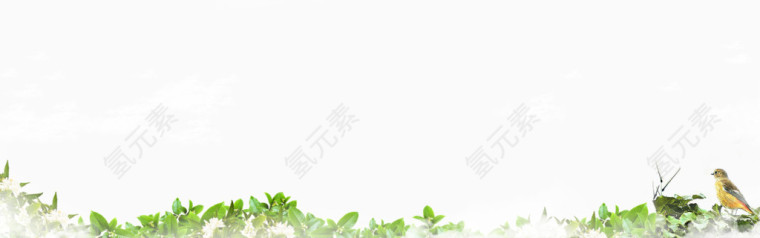 透明背景