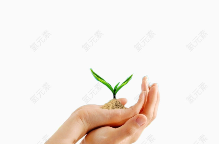 植树节装饰图