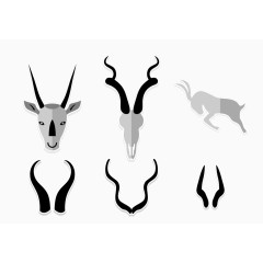 插图角羚羊非洲野生动物园