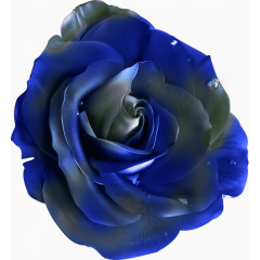 花朵形钮扣图案