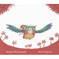 彩色猫头鹰插画设计