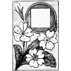 黑白花朵留白插图