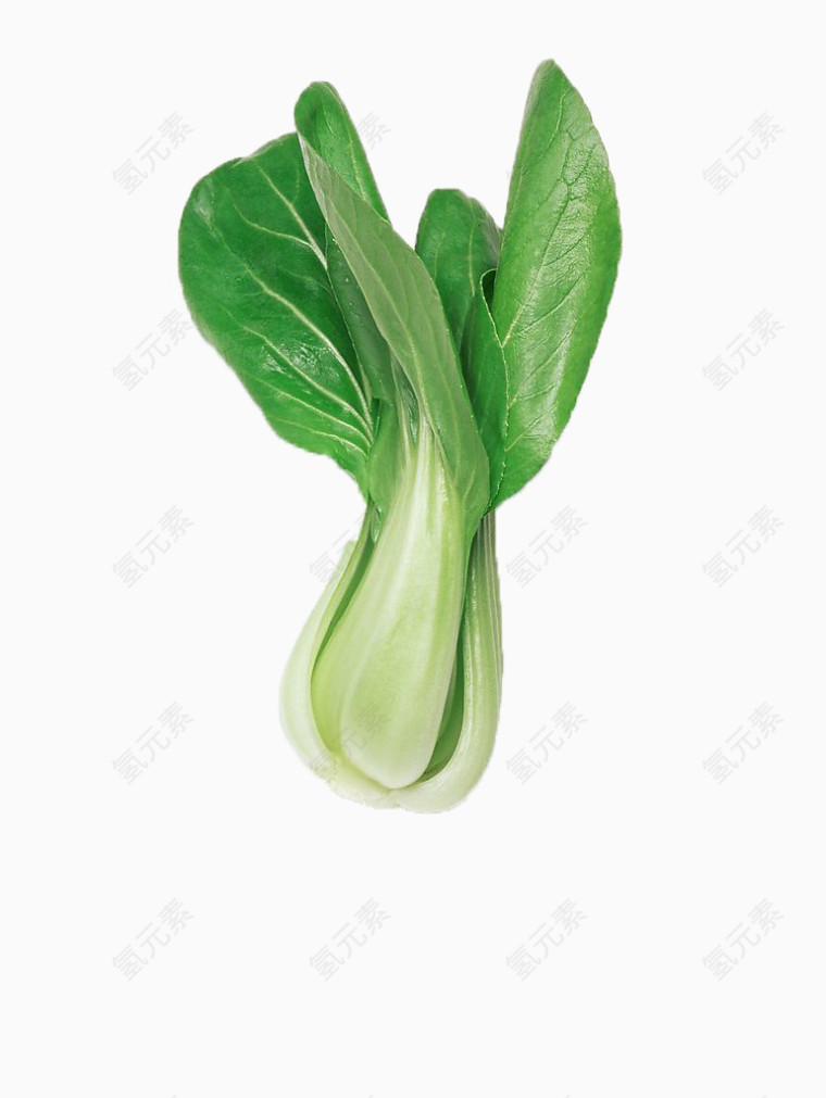 上海青蔬菜