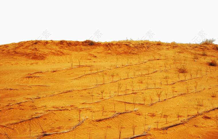 内蒙古景区库布齐沙漠