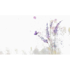 手绘薰衣草