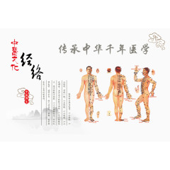 中医 经络 中国风